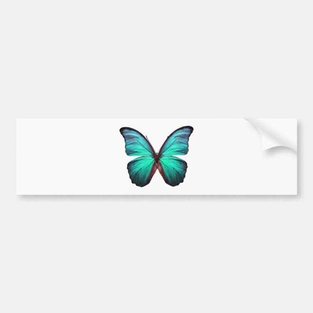Bright Teal Butterfly Bumper Sticker (Front)