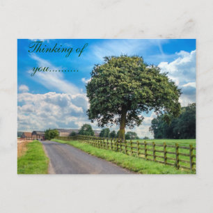 Bright Tree Postcard