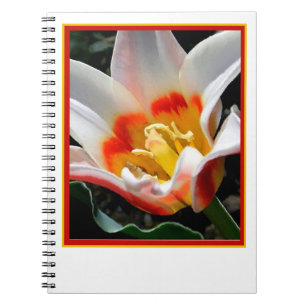 Bright tulip painting notebook