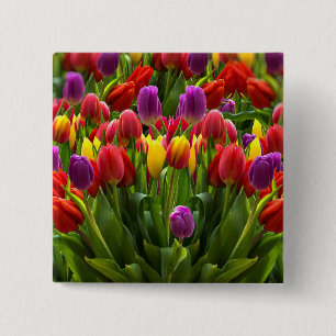 Bright Tulips 15 Cm Square Badge