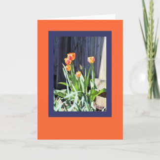 Bright tulips greeting card