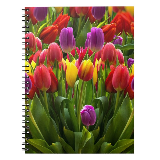 Bright Tulips Notebook (Front)