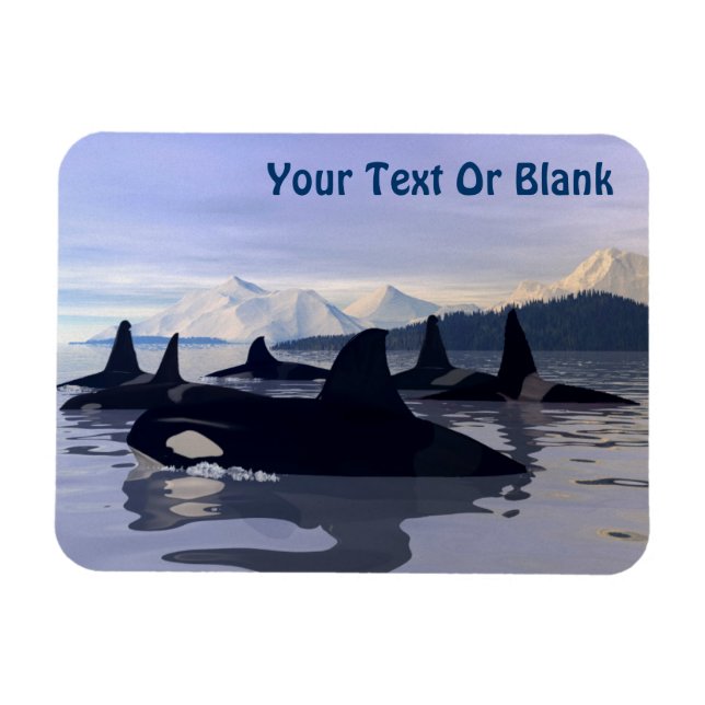 Bright Water Orca Magnet (Horizontal)