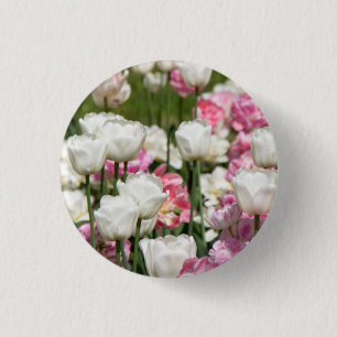 Bright white and pink tulips on a sunny day    3 cm round badge
