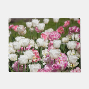 Bright white and pink tulips on a sunny day doormat