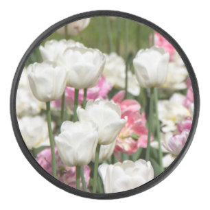 Bright white and pink tulips on a sunny day hockey puck