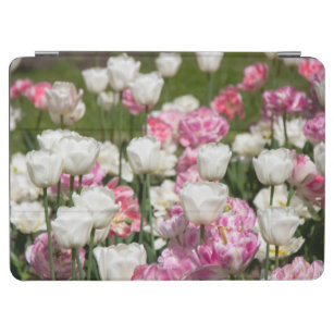 Bright white and pink tulips on a sunny day  iPad air cover