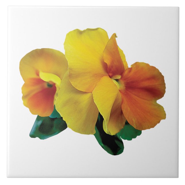Bright Yellow and Orange Pansies Tile (Front)