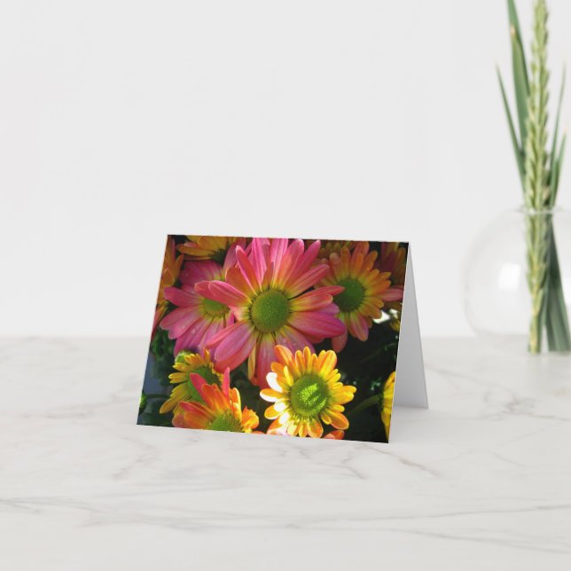 Bright Yellow and Pink Mums Note Card (Front)