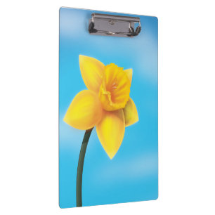 Bright Yellow Daffodil Clipboard