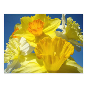 Bright Yellow Daffodil Flowers Photography prints