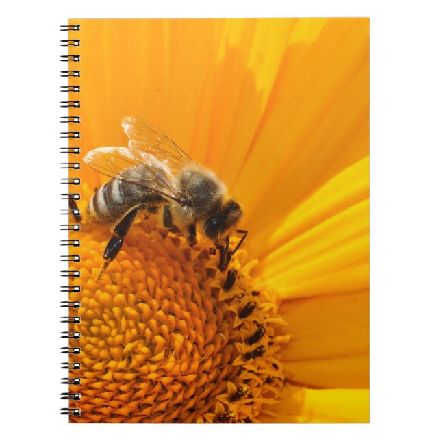 Bright Yellow Flower And Honey Bee Notebook (Front)