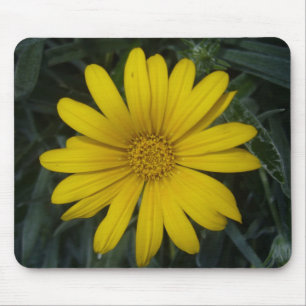 bright yellow flower mouse pad