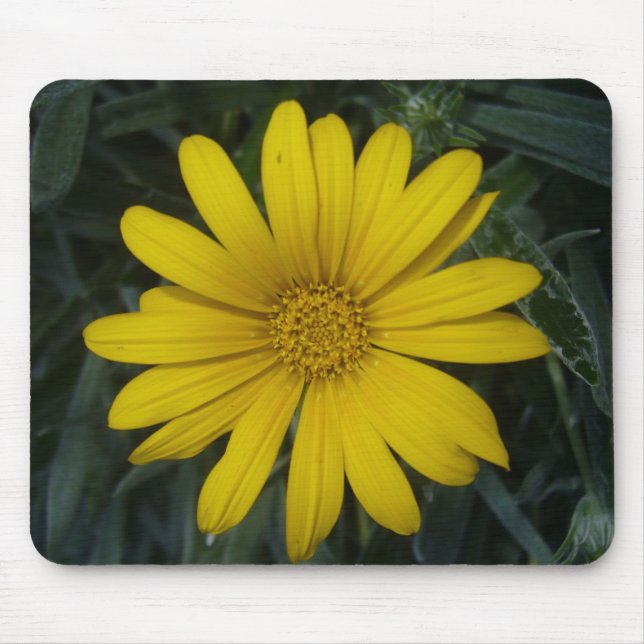bright yellow flower mouse pad (Front)