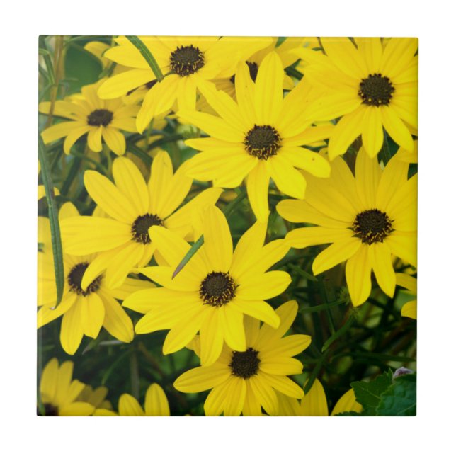 Bright Yellow Flowers Ceramic Tile (Front)