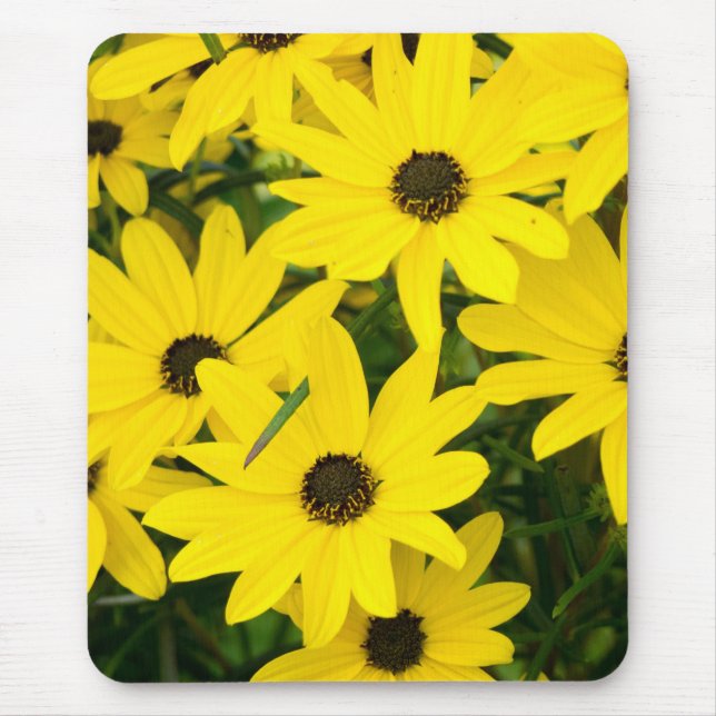 Bright Yellow Flowers Mouse Pad (Front)