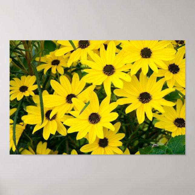 Bright Yellow Flowers Poster (Front)