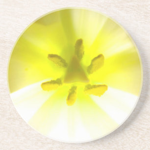 Bright Yellow Inside a Flower Sandstone Coaster