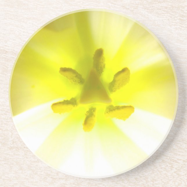 Bright Yellow Inside a Flower Sandstone Coaster (Front)