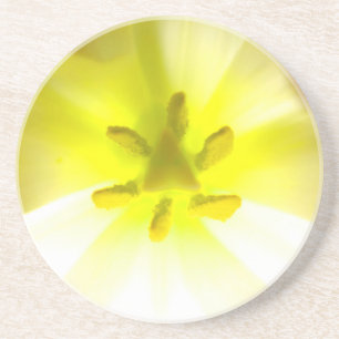 Bright Yellow Inside a Flower Sandstone Coaster