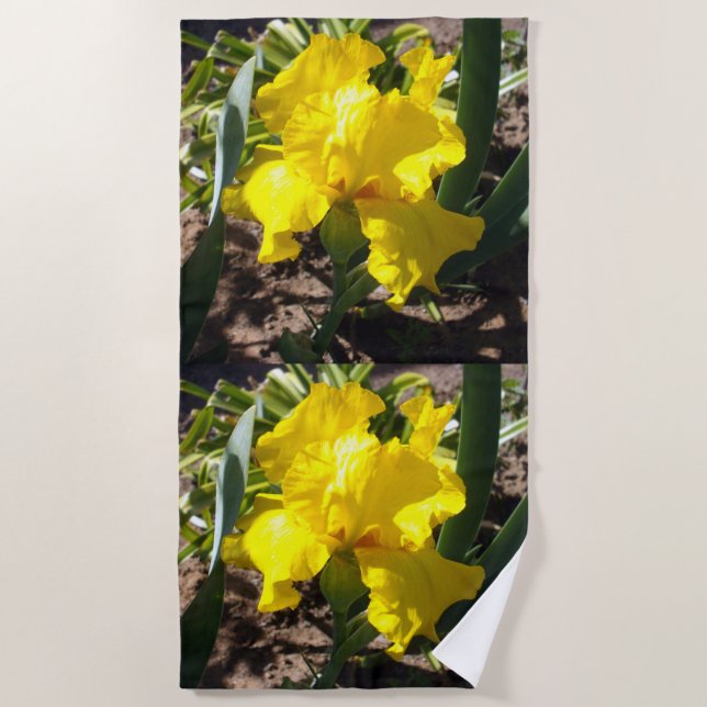 Bright Yellow Iris Flower, Beach Towel (Front)
