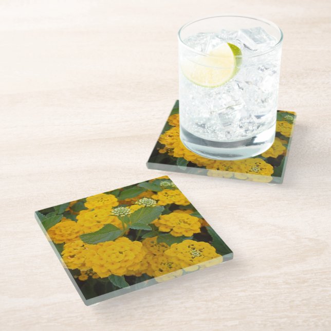 Bright Yellow Lantana Flower Blooms Cheerful Glass Coaster (Angled)
