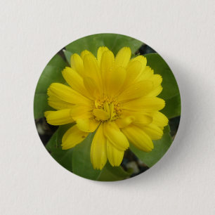 Bright Yellow Marigold Button