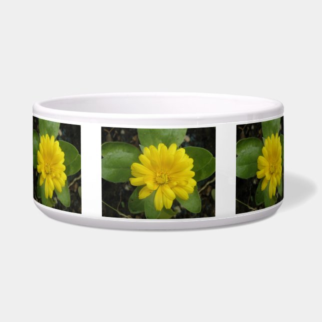 Bright Yellow Marigold Dog Bowl (Front)