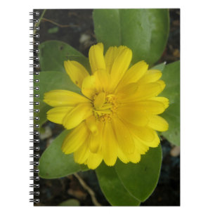 Bright Yellow Marigold Notebook