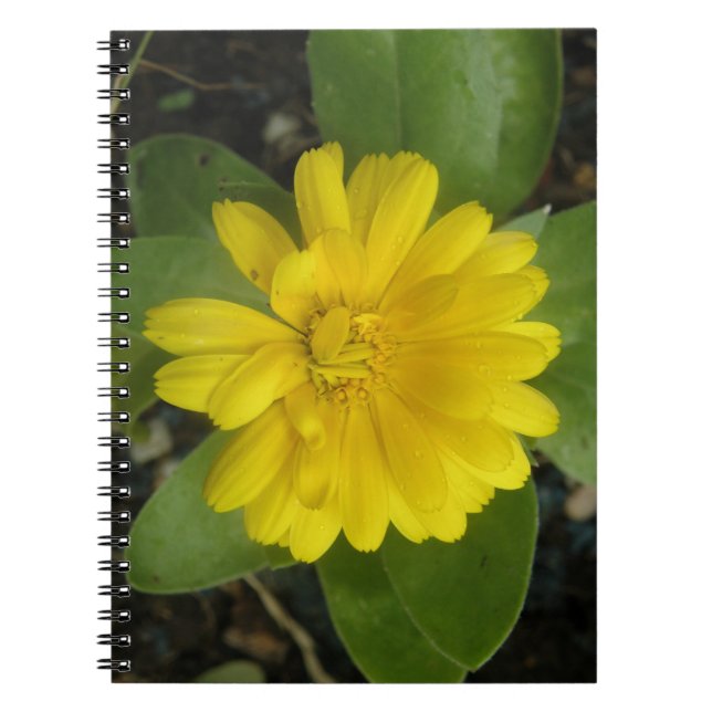 Bright Yellow Marigold Notebook (Front)