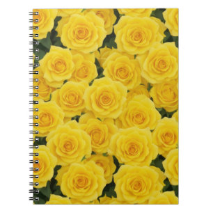 Bright Yellow Rose Notebook