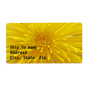 Bright Yellow Spiky Dahlia Close Up Photograph
