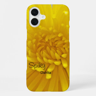 Bright Yellow Spiky Dahlia Close Up Photograph iPhone Case