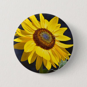 Bright yellow sunflower 6 cm round badge