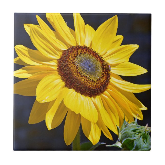 Bright yellow sunflower ceramic tile (Front)