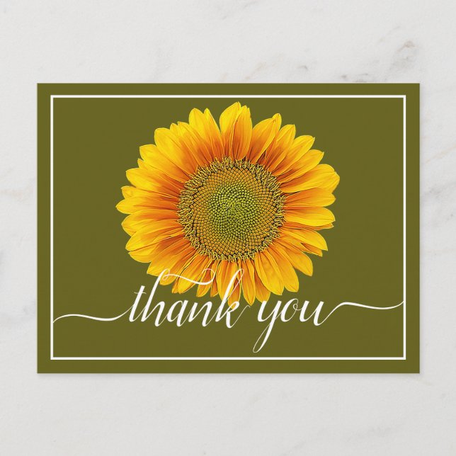 Bright Yellow Sunflower Green Background Thank You Postcard (Front)