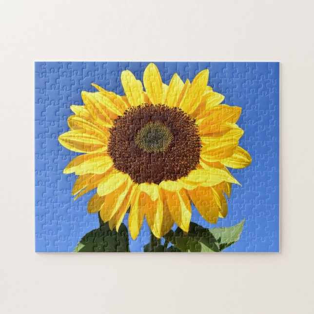 Bright yellow sunflower jigsaw puzzle (Horizontal)