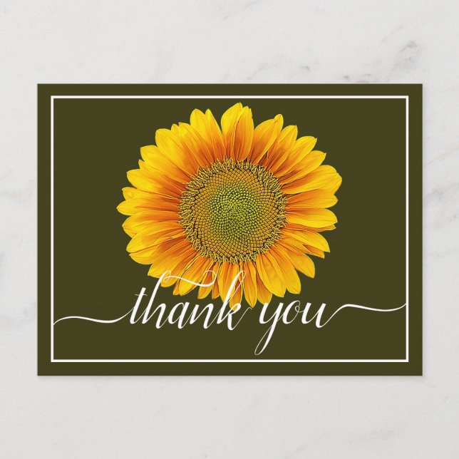 Bright Yellow Sunflower Moss Background Thank You Postcard (Front)