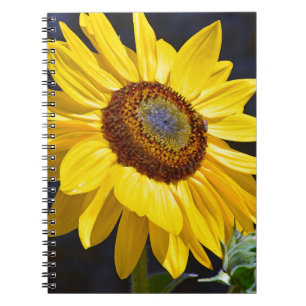 Bright yellow sunflower notebook