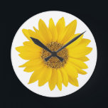 Bright Yellow Sunflower on White Background Round Clock<br><div class="desc">A close-up photo of a bright yellow sunflower on white background.</div>