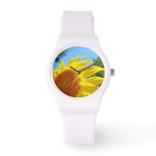 Bright Yellow Sunflower Watches Sunlit Glowing