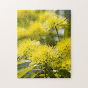 Bright Yellow Wattle Tree Jigsaw Puzzle