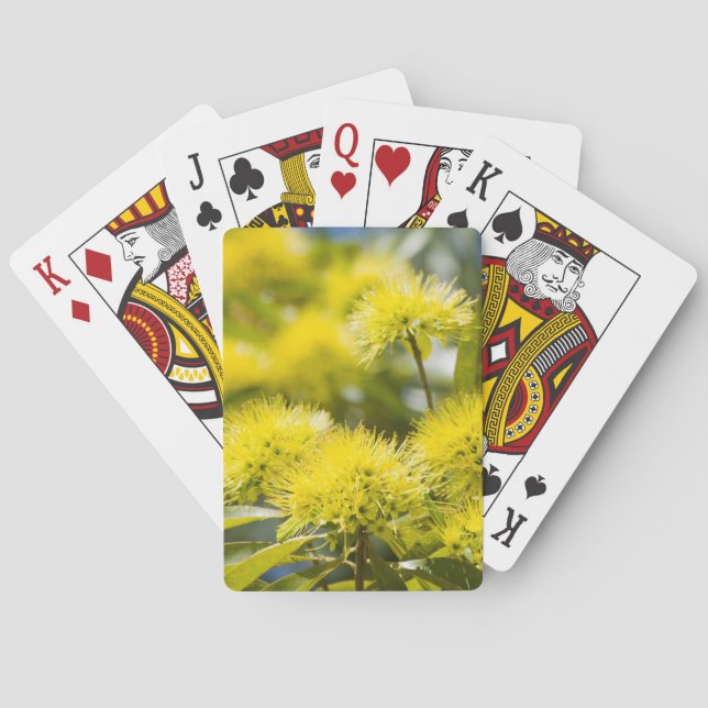 Bright Yellow Wattle Tree Playing Cards (Back)
