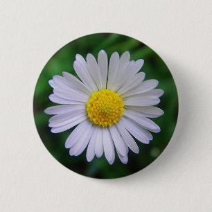 Bright yellow-white daisy 6 cm round badge