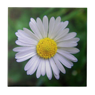 Bright yellow-white daisy ceramic tile