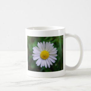 Bright yellow-white daisy coffee mug
