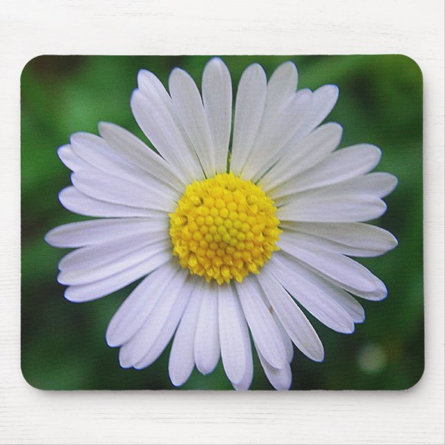 Bright yellow-white daisy mouse pad (Front)