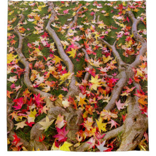 Brightly Colorful Maple Leaf Shower Curtain
