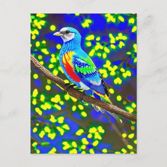 Brightly Coloured Bird Postcard (Front)