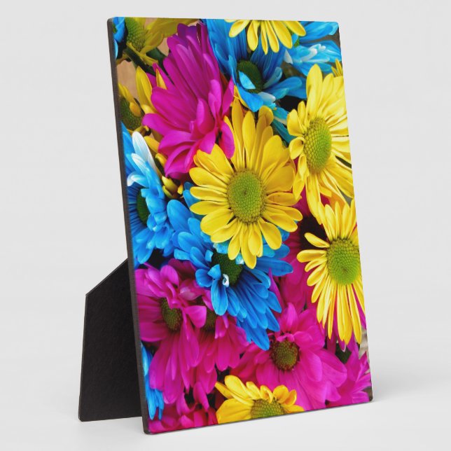 Brightly Coloured Daisies Plaque (Side)